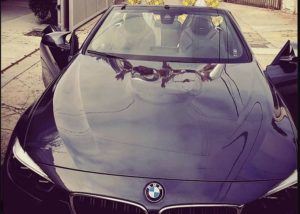 Emilia Clarke's BMW