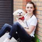 Maisie Williams pet dog sonny