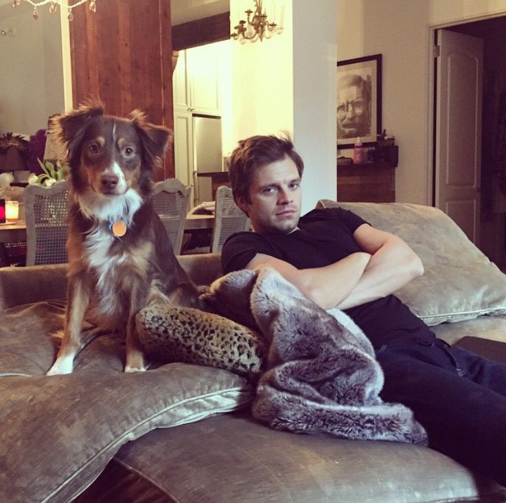 Sebastians Stan and his dog image.