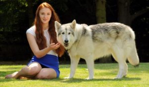 Sophie Turner pet Zunni