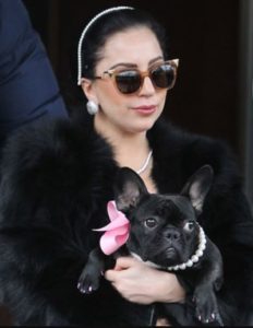 Lady Gaga: Bio, family, net worth