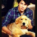 Nick Jonas Pet dog