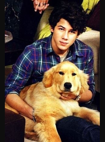 Nick Jonas Pet dog