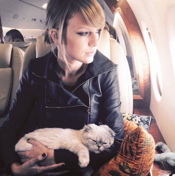 Taylor Swift pet Meredith Grey