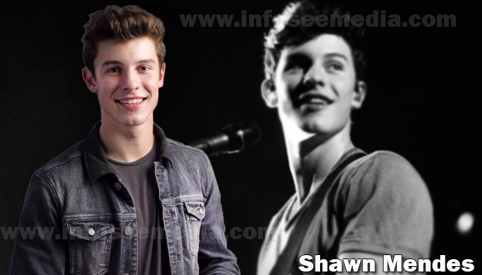 Shawn Mendes featured image