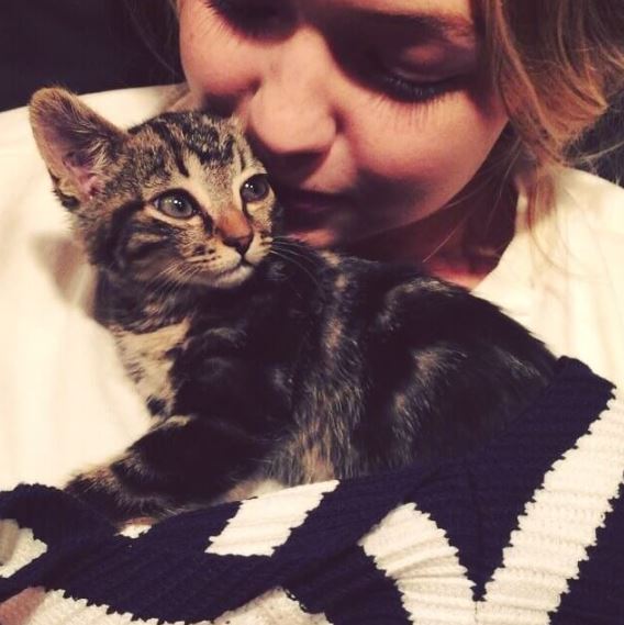 Gigi Hadid with her pet cat