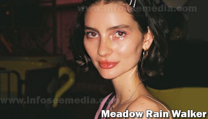 Meadow Rain Walker featured image