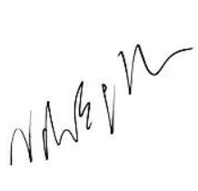 Noah Baumbach signature
