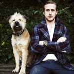Ryan Gosling with his pet dog