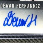 Dewan Hernandez signature