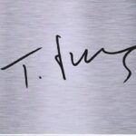 Tyson Fury signature