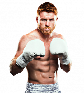 Canelo Alvarez: Bio, family, net worth | Celebrities InfoSeeMedia