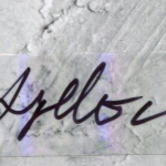 Ayelet Zurer signature image.