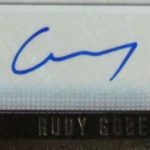 Rudy Gobert signature