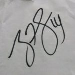 Ryan Fitzpatrick signature