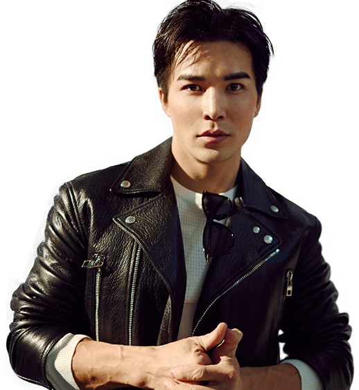 ludi lin shang chi