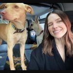 Sophia Bush with her pet dogs