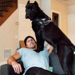 Alan Ritchson with his pet dog