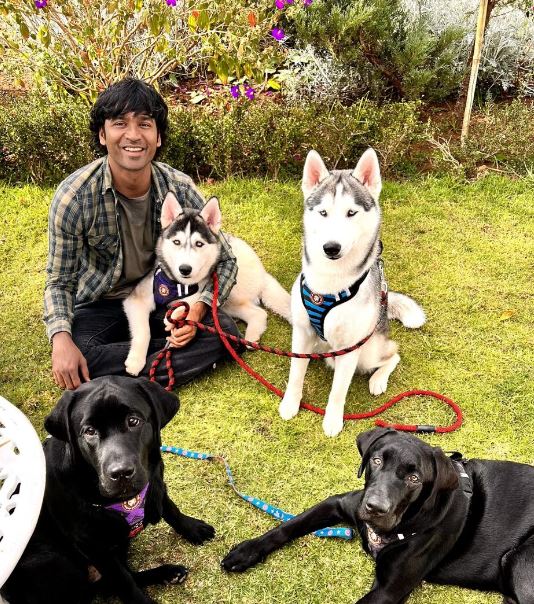Dhanush with his pet dogs
