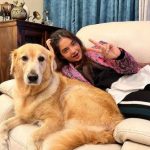Anushka Sen with her pet dog