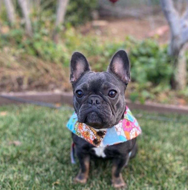 Emilio Rivera: Bio, family, net worth