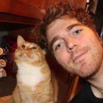 Shane Dawson with his pet cat