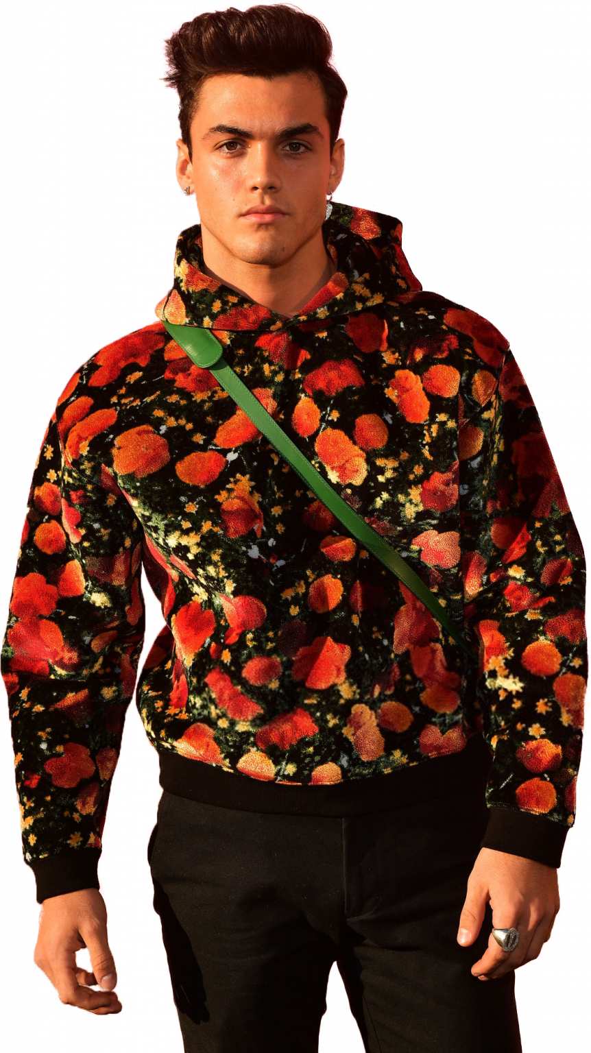 Grayson Dolan: Bio, family, net worth