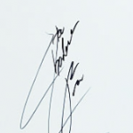 Lee Chae-rin signature