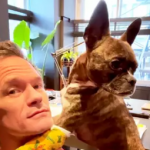 Neil Patrick Harris with his pet dog image
