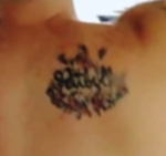 Pitbull Tattoo on back