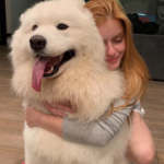Ariel Winter with her pet dog