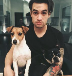 Brendon Urie : Bio, family, net worth