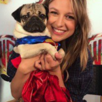 Melissa Benoist with her pet dog-