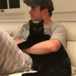 Thomas Doherty with his pet cat
