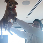 Dalton Gomez with his pet dog-