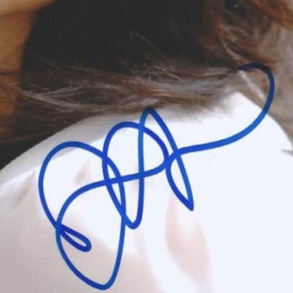 Dina Shihabi signature