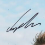 Joe Alwyn Signature