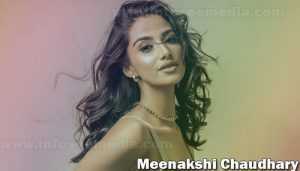 Meenakshi Chaudhary featured image