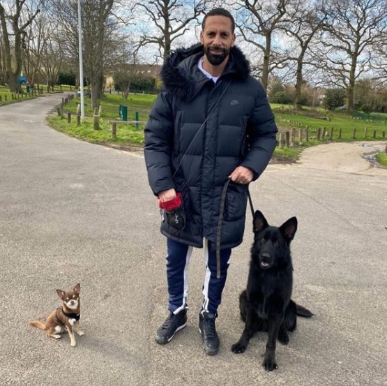 Rio Ferdinand with his pet dogs