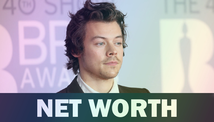 Harry Styles Net Worth