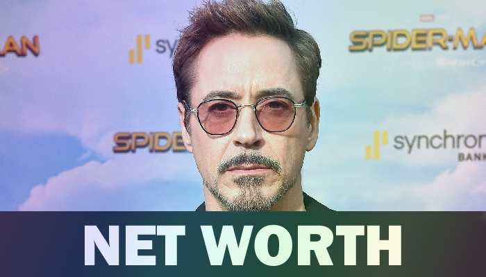 Robert Downey Jr Net Worth
