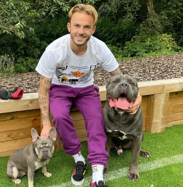 James Maddison with his pet dogs