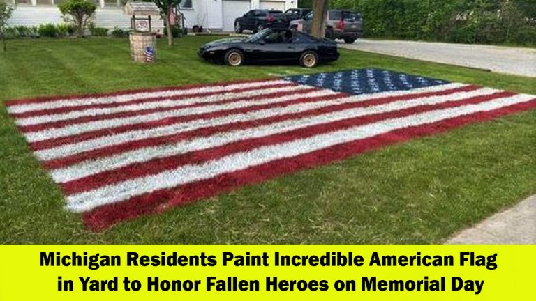 Michigan Residents Paint American Flag in Their Yard to Honor Fallen Heroes on Memorial Day