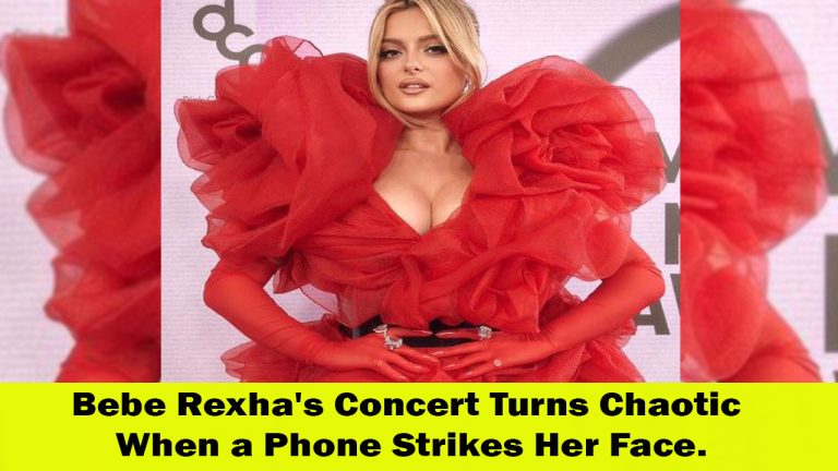 Bebe Rexha Rushed Off Stage After Phone Hits Her in the Face