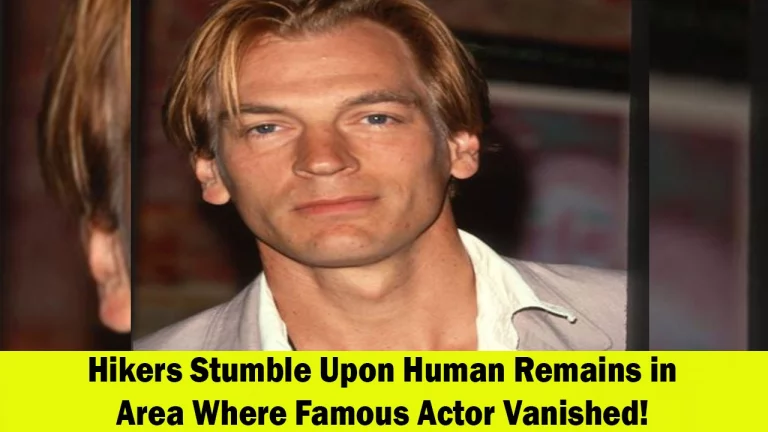 Hikers Discover Human Remains in Area Where Actor Julian Sands Disappeared