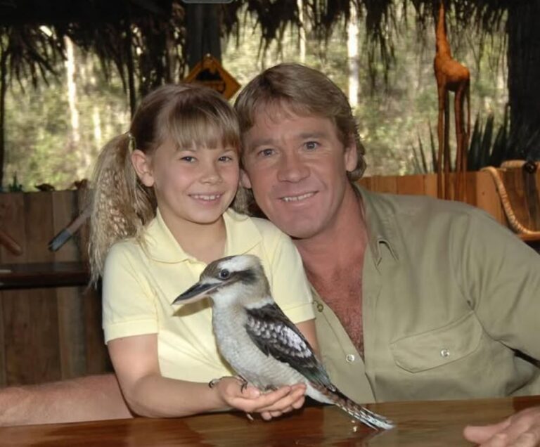 Steve Irwin : The Legacy of Robert Irwin & Bindi Irwin's Father and ...