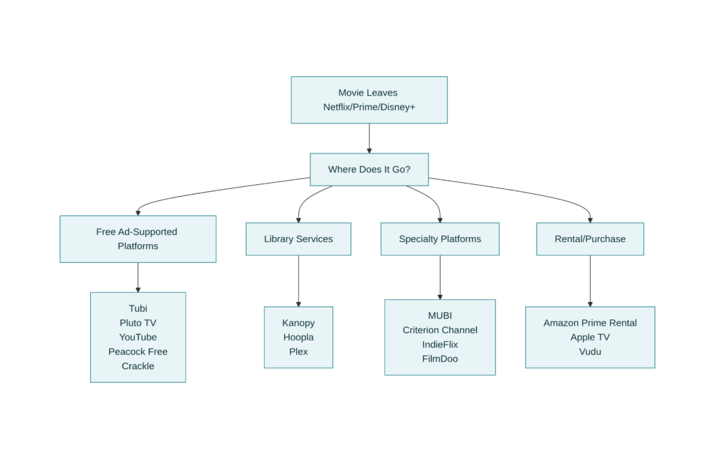 Where Movies Go After Leaving Major Streaming Platforms